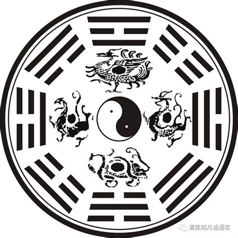 四象八卦|四象: 青龙,白虎,朱雀,玄武